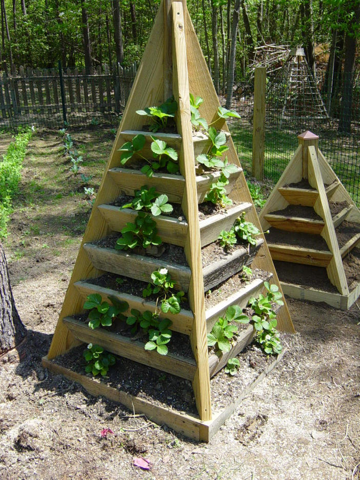 How To Build A Pyramid Strawberry Planter Diy Tower Plans